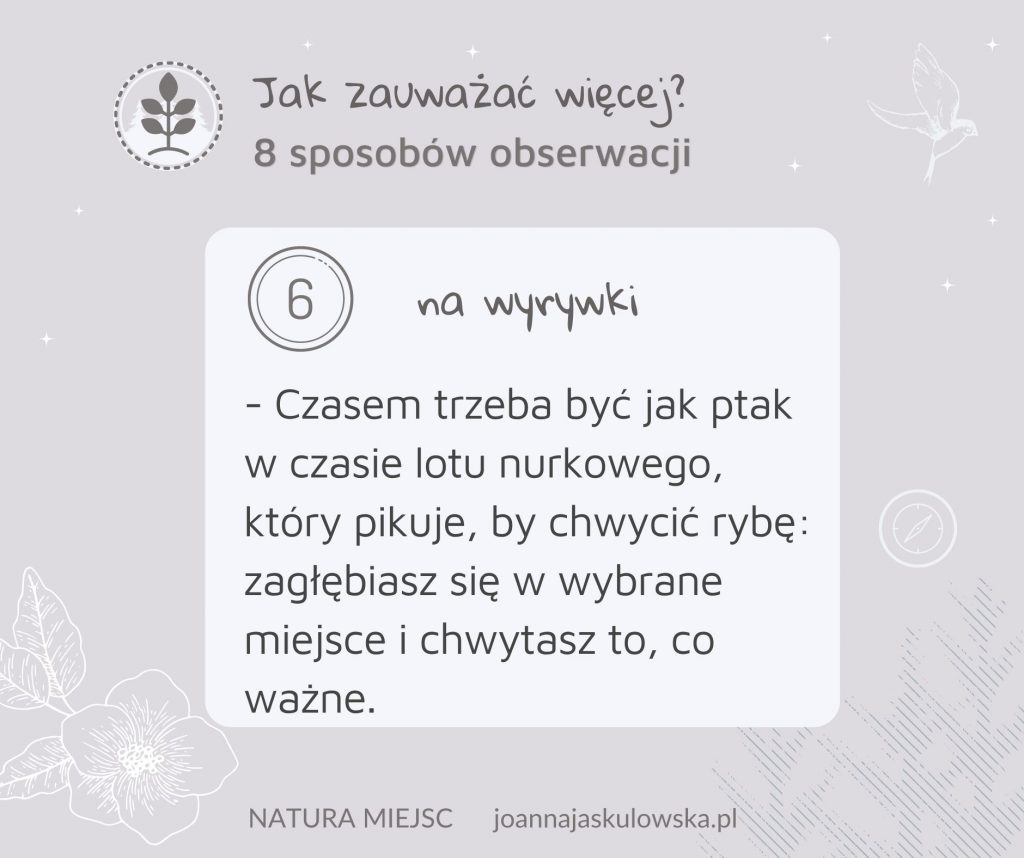 6. na wyrywki